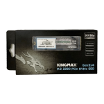 اس اس دی SSD M.2 KINGMAX PQ3480 256GB STOCK