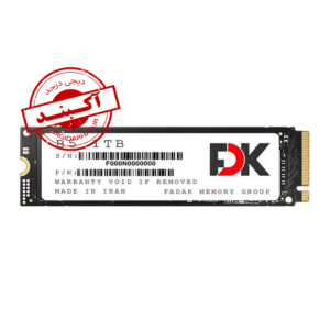 اس اس دی SSD M.2 FDK 1TB